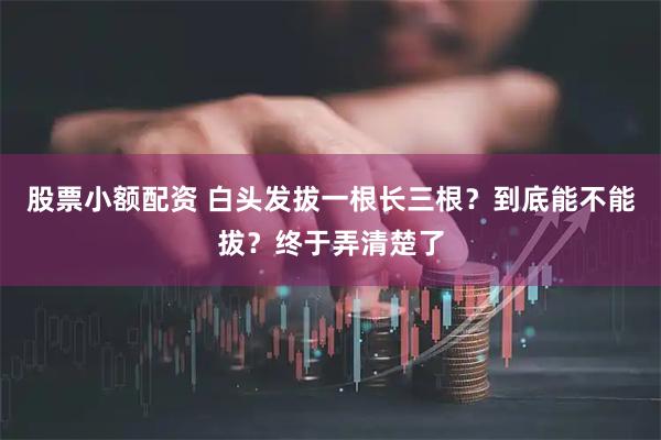 股票小额配资 白头发拔一根长三根？到底能不能拔？终于弄清楚了