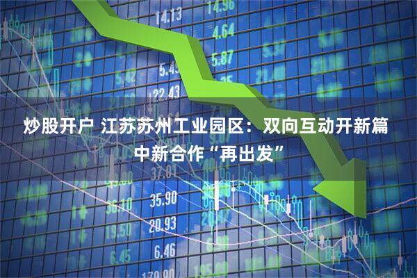 炒股开户 江苏苏州工业园区：双向互动开新篇 中新合作“再出发”